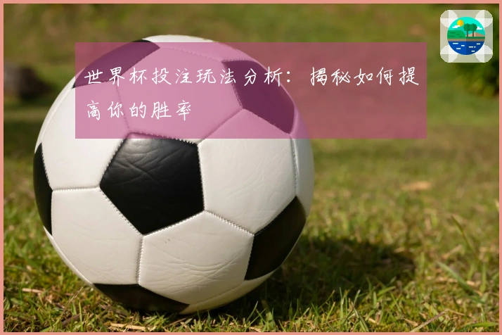 世界杯投注玩法分析：揭秘如何提高你的胜率