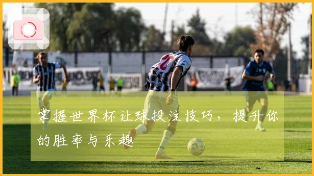 掌握世界杯让球投注技巧，提升你的胜率与乐趣
