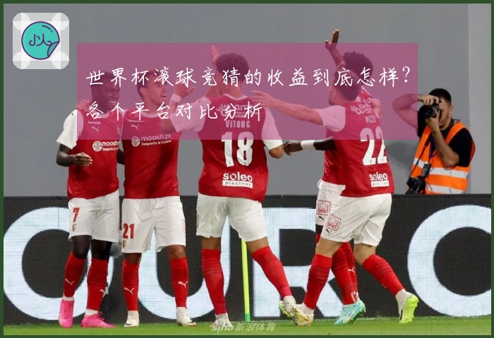 世界杯滚球竞猜的收益到底怎样？各个平台对比分析