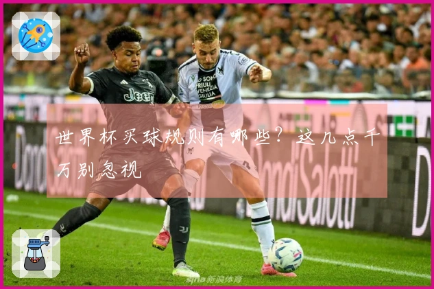 世界杯买球规则有哪些？这几点千万别忽视