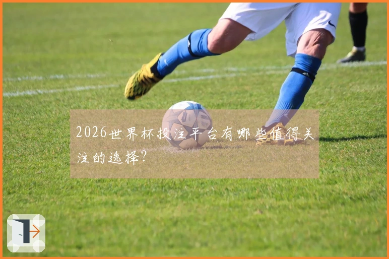2026世界杯投注平台有哪些值得关注的选择？