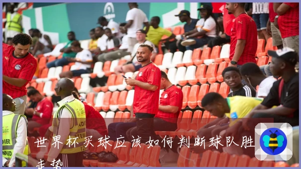 世界杯买球应该如何判断球队胜负走势