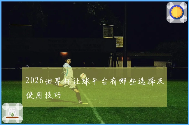 2026世界杯让球平台有哪些选择及使用技巧