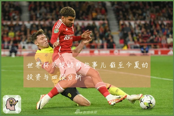世界杯买球的那些事儿 截至今夏的投资与回报分析