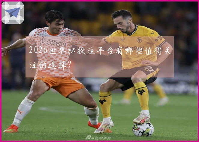 2026世界杯投注平台有哪些值得关注的选择？