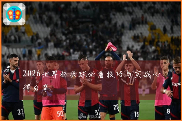 2026世界杯买球必看技巧与实战心得分享