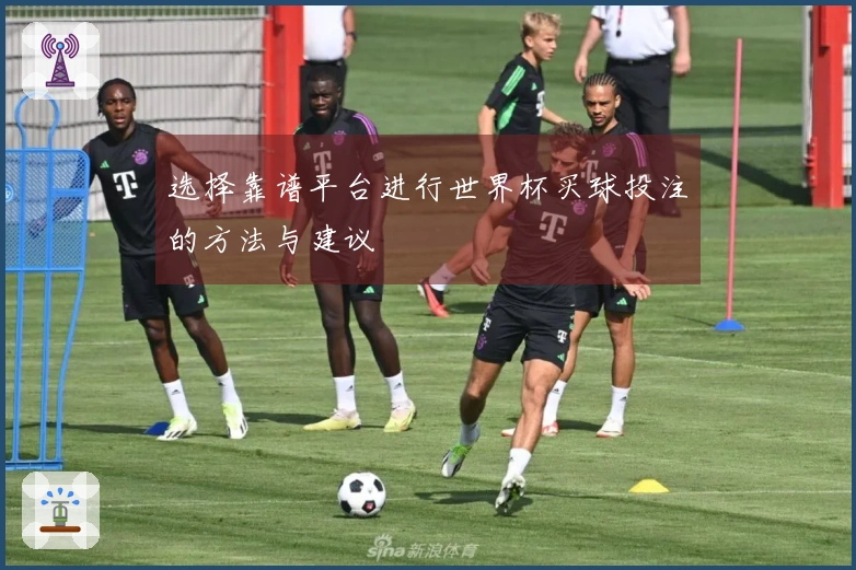 选择靠谱平台进行世界杯买球投注的方法与建议