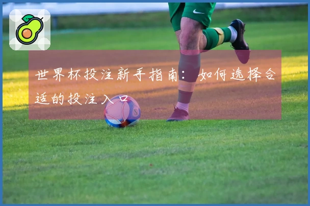 世界杯投注新手指南：如何选择合适的投注入口