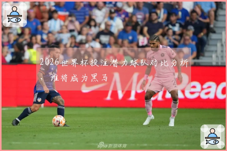 2026世界杯投注潜力球队对比分析，谁将成为黑马