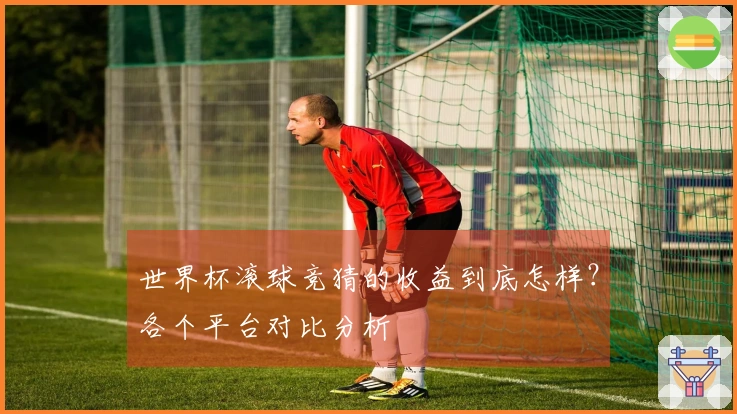 世界杯滚球竞猜的收益到底怎样？各个平台对比分析