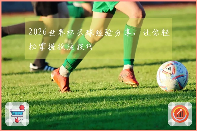 2026世界杯买球经验分享，让你轻松掌握投注技巧
