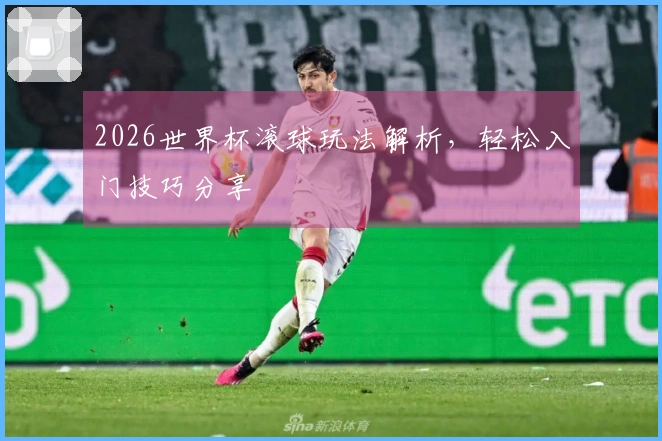 2026世界杯滚球玩法解析，轻松入门技巧分享