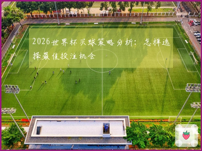 2026世界杯买球策略分析：怎样选择最佳投注机会