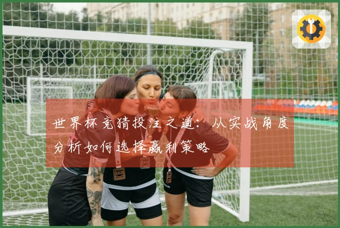 世界杯竞猜投注之道：从实战角度分析如何选择赢利策略