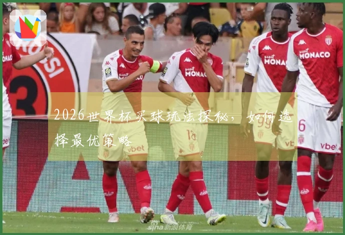 2026世界杯买球玩法探秘，如何选择最优策略